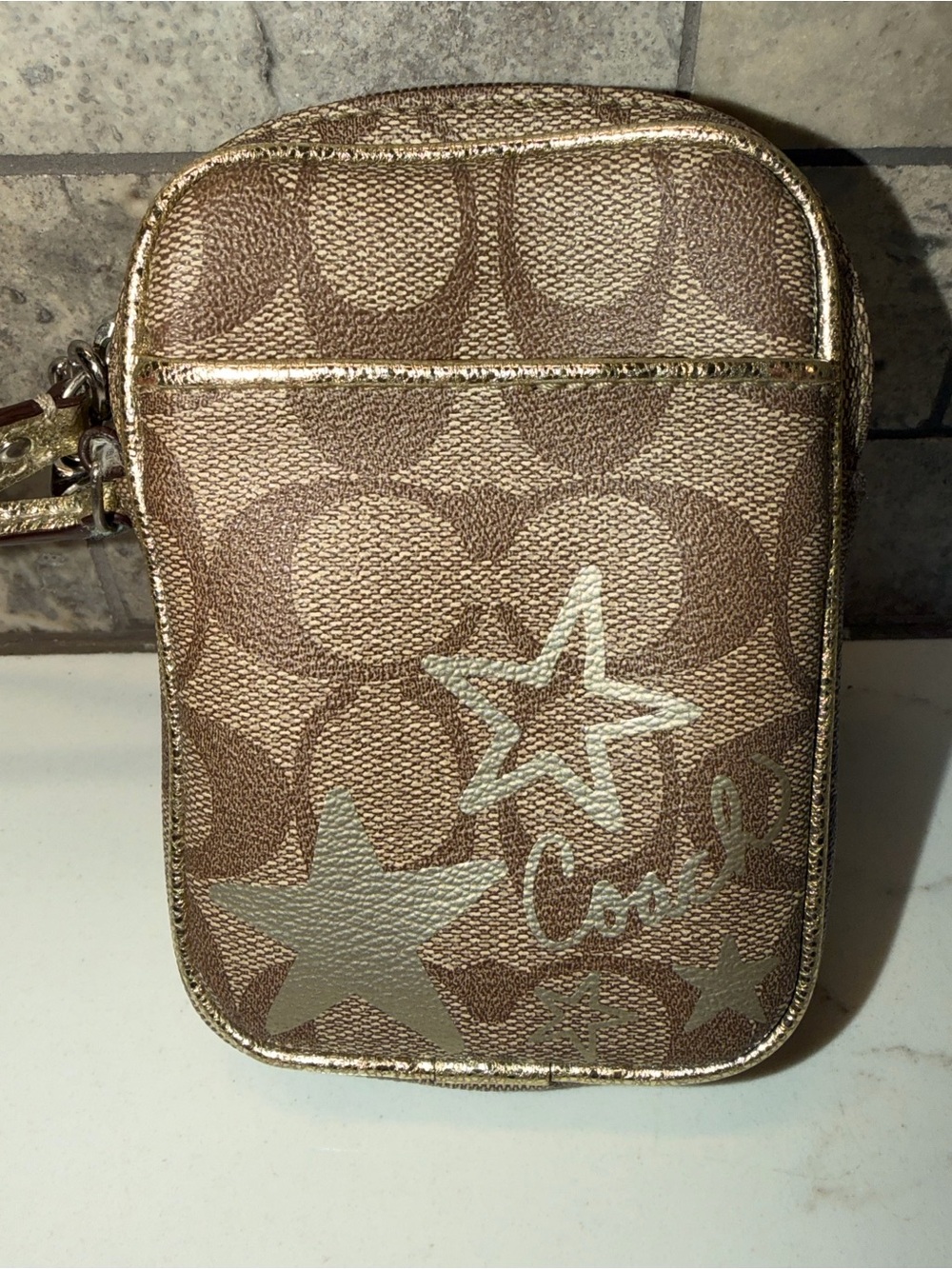Coach Heritage Y2k Star multipurpose pouch